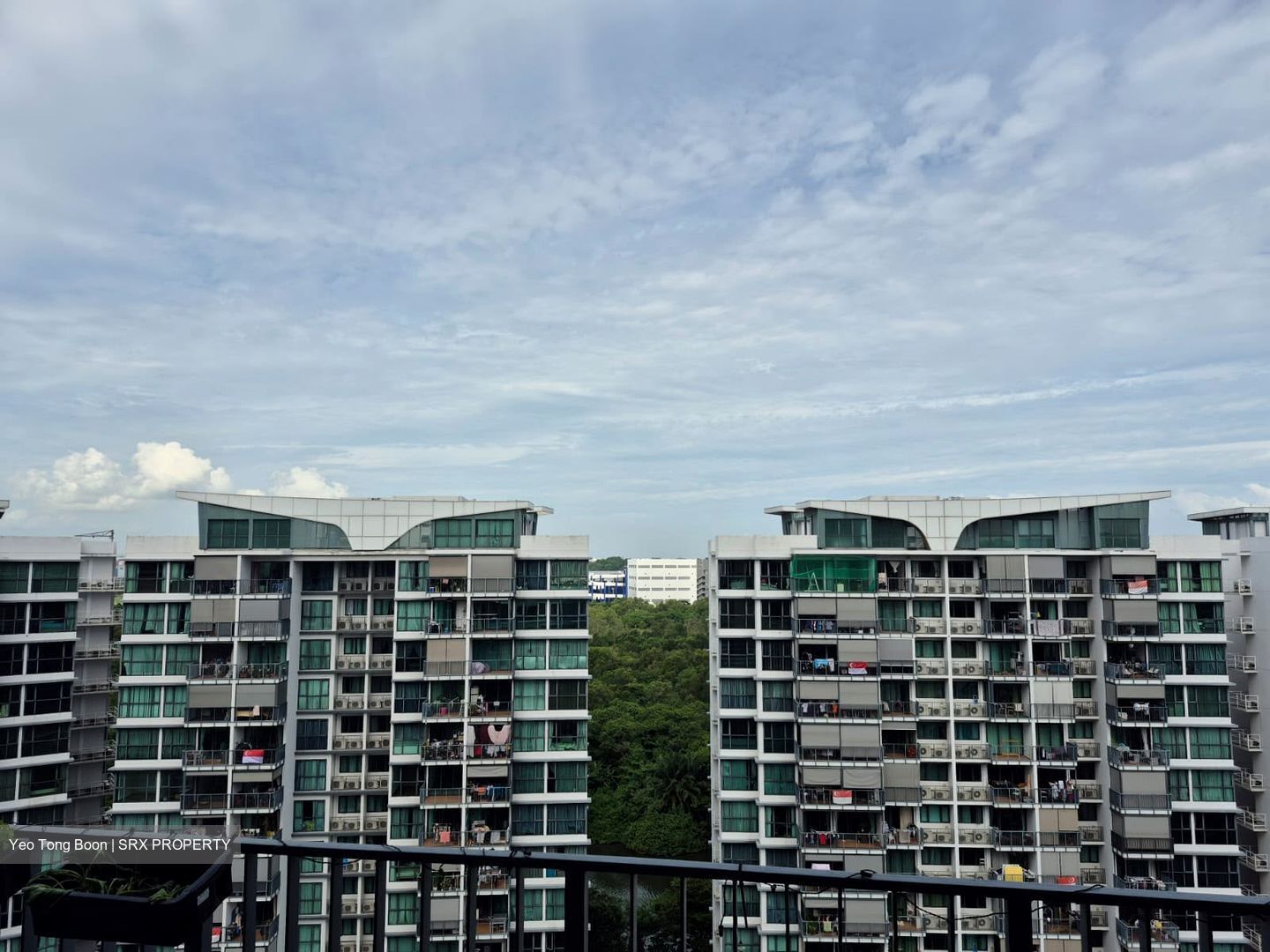 Boathouse Residences (D19), Condominium #616136221